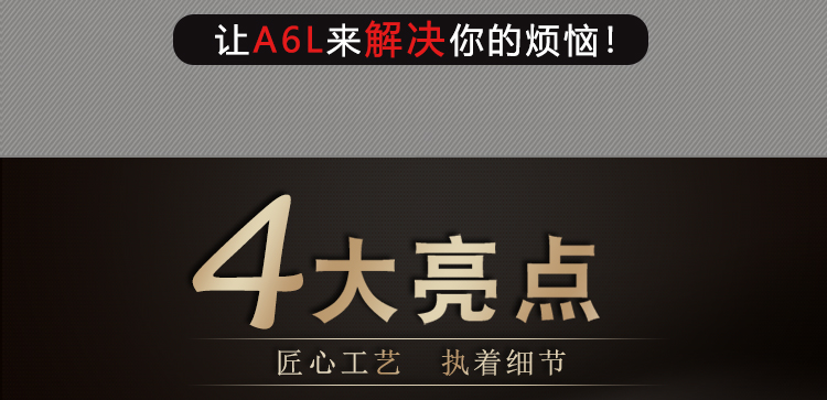 A6L_04.jpg