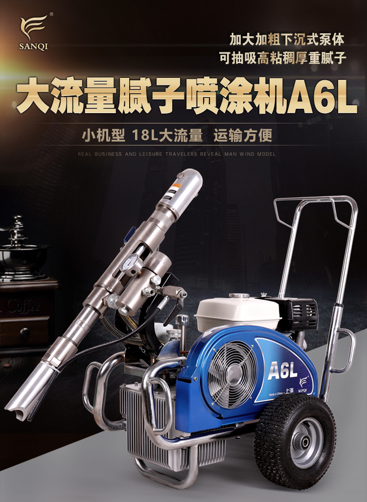 A6L_01.jpg