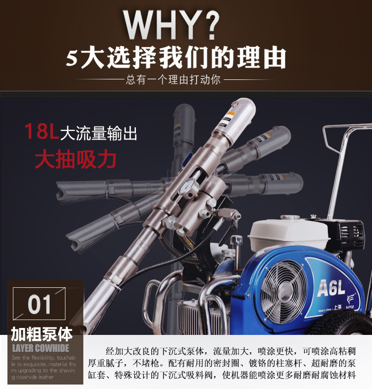 A6L_12.jpg
